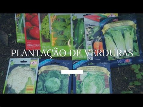 PLANTAÇÃO DE VERDURAS YouTube