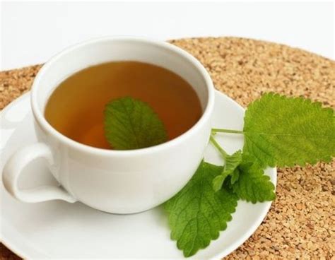 Cha De Carquejo E Bom Para Que - CHÁ DE CARQUEJA É BOM PARA QUÊ? Conheça os benefícios e como preparar o ...