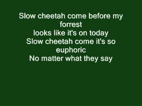 Red Hot Chili Peppers Slow Cheetah Lyrics Youtube