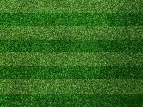 Football Pitch Grass Stock Photos, Images and Backgrounds for Free Download