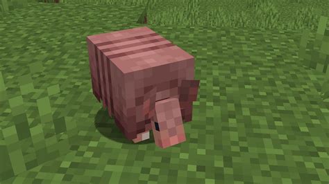 Where Do Armadillos Spawn In Minecraft