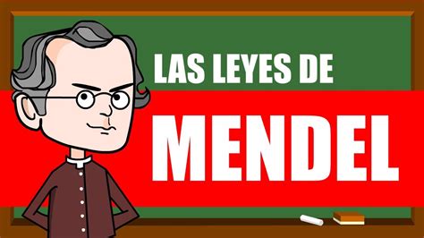 Actualizar 101 Imagen Biografia De Mendel Padre De La Genetica