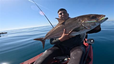 Rompiendo Record Amberjack Con Jig Los Cabos Mx Youtube