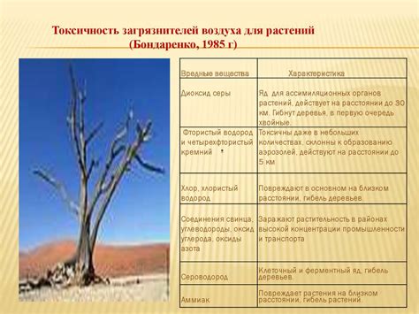 Воздух и вода - важнейшие дары природы, источники жизни на земле для ...