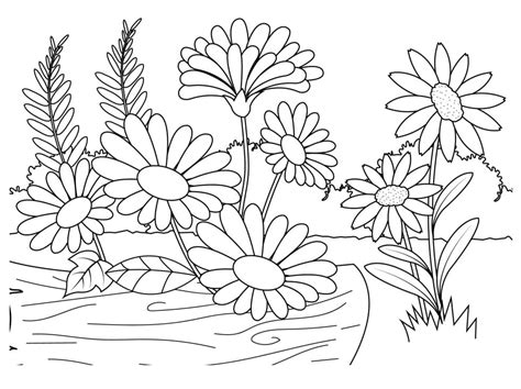 Desenhos De Jardim De Flores Para Colorir E Imprimir Colorironline