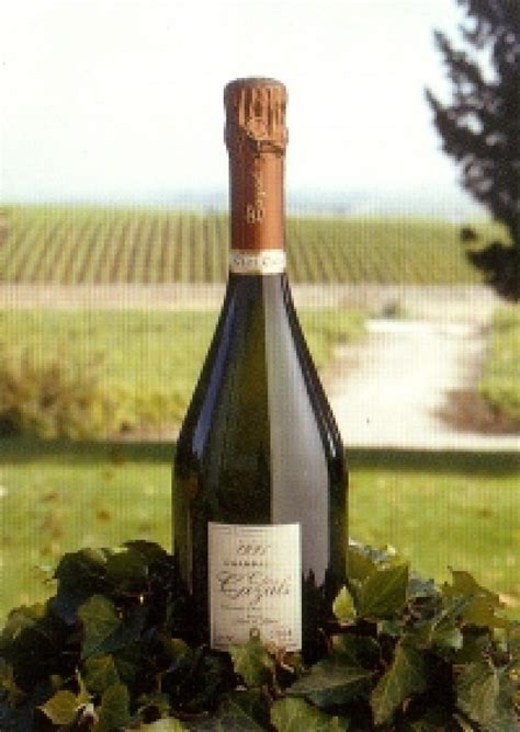 Claude Cazals. Вино Clos Cazals 1996 - Всё про виноделие