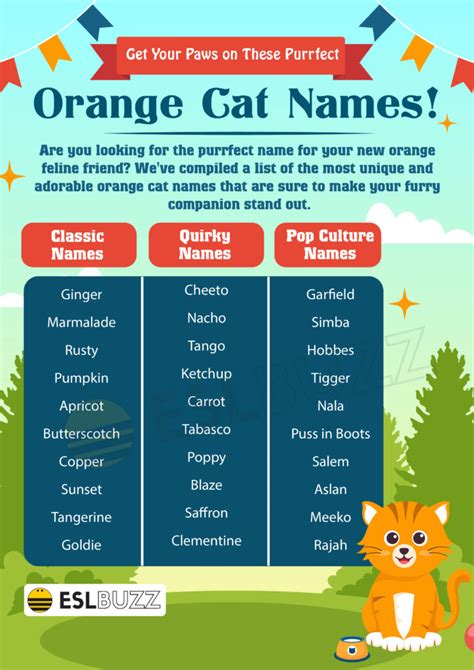 Orange Cat Names: 50+ Creative Ideas for Naming Your Feline Friend ...