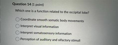 Solved Which one is a function related to the occipital | Chegg.com ...