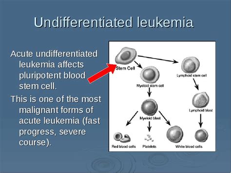 Wbc Pathology Subject 11 презентация доклад проект