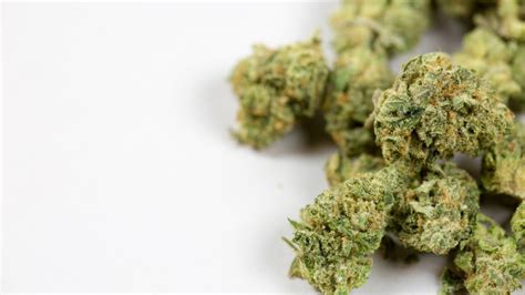 Масово арестуват за под 1 грам марихуана - News.bg