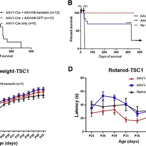 Gene Replacement And Survival Of Tsc1 Floxed Mice Injected With Aav Cre