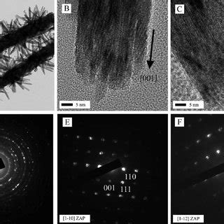 SEM Images Of TiO 2 Hierarchical Nanostructures Grown Under