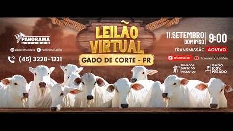 Leil O Virtual Gado De Corte Pr Ms Youtube