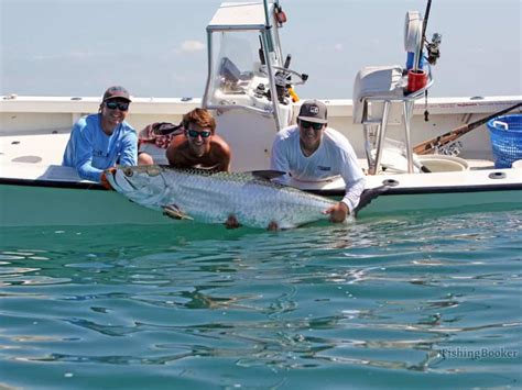 Best Times To Catch Tarpon In Florida Complete Guide Freshwater