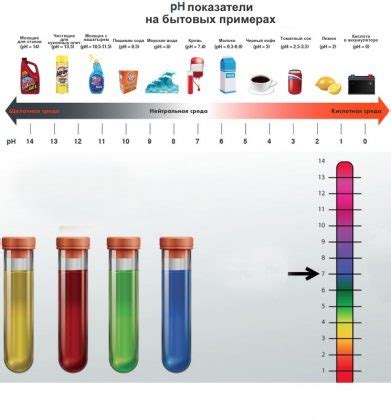 Что такое pH? Шкала и методы измерения pH - Science Debate