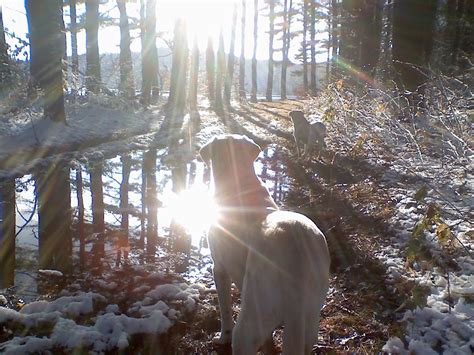 Massachusetts Sex Offender Resource Blog Incarceration Probation And Life After As An RSO