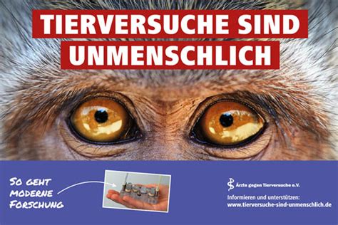 Tierversuche Sind Unmenschlich Rzte Gegen Tierversuche