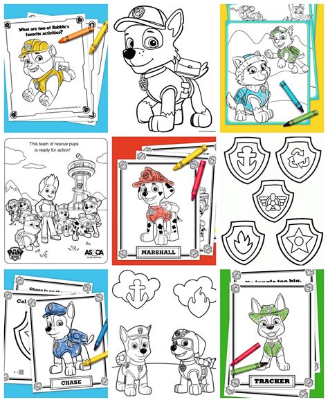 Paw Patrol Mighty Pups Color