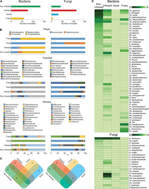 Frontiers Wild Apple Associated Fungi And Bacteria Compete To