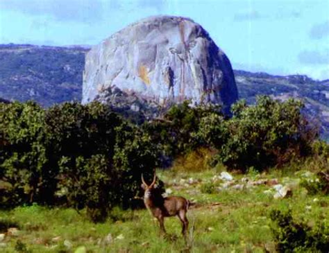 Nyanga National Park, Zimbabwe Social Travel Network - Touristlink