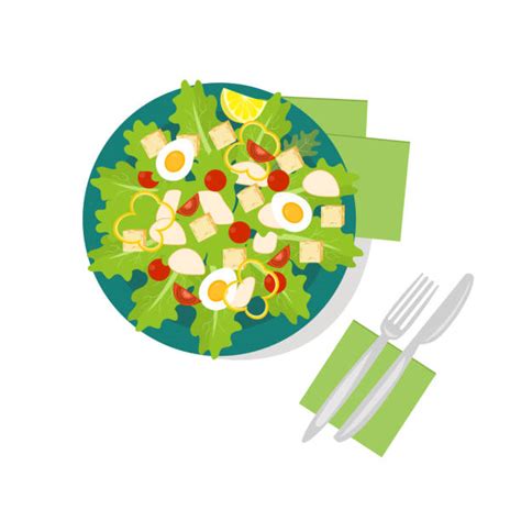 20 Caesar Salad With Chicken Stock Illustrations Royalty Free Vector