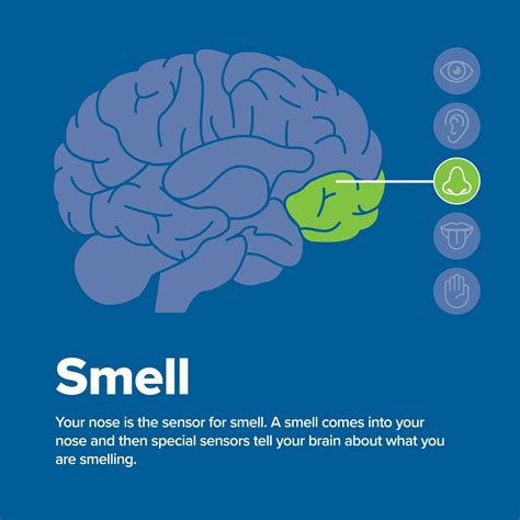 AdventHealth Connerton | Land O' Lakes FL