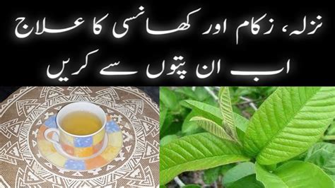 Nazla Zukam Or Khansi Ka Ilaj In Urdu Hindi Cough Cold And Flu