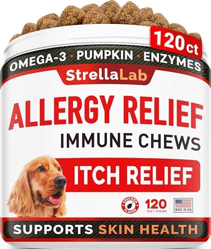 Top 10 Best Allergy Medications For Dogs : Reviews & Buying Guide - Katynel