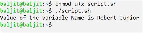 How to define variables in shell script? - Dextutor Linux