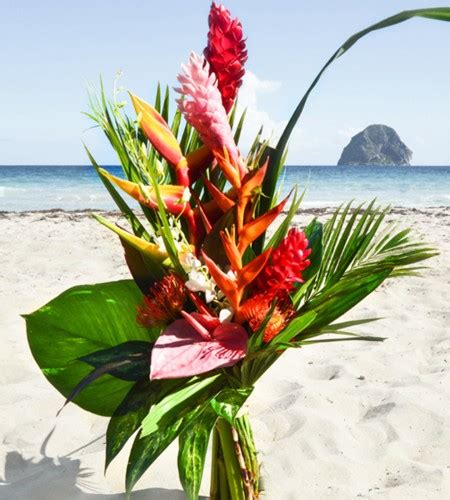 Bouquet de fleurs Haut Caraïbes Fleurs exotiques Fleurs Lointaines