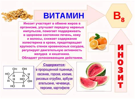 Витамин B8 (Инозитол, инозит, инозитдроретинол) - влияние на организм ...
