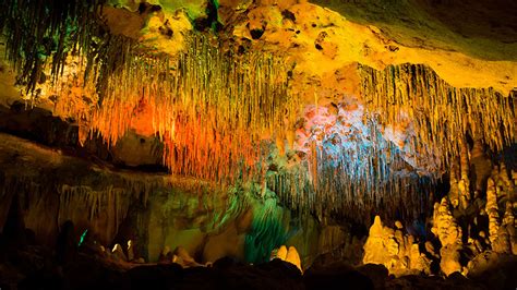 Top 8 Caves In Florida To Explore TourismInFlorida