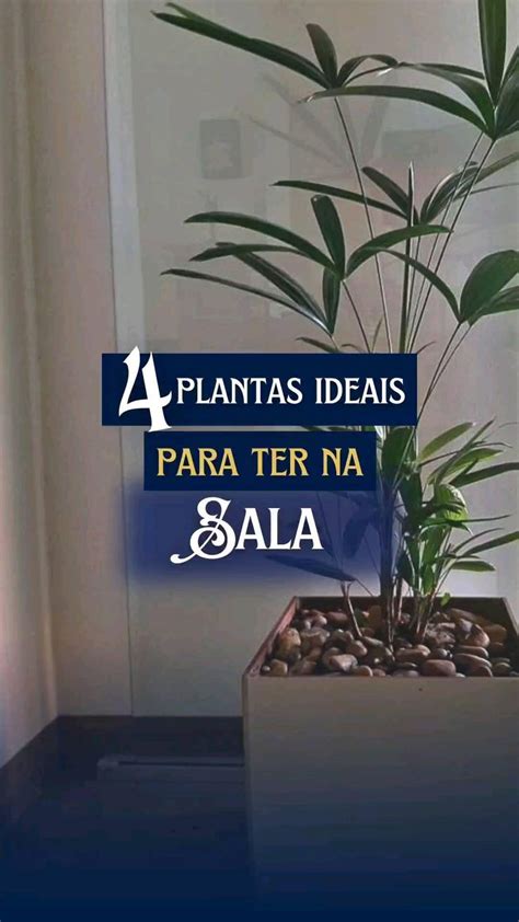 𝗣𝗿𝗼𝗺𝗼 Casa Decoração on Instagram A que tenho aqui na minha