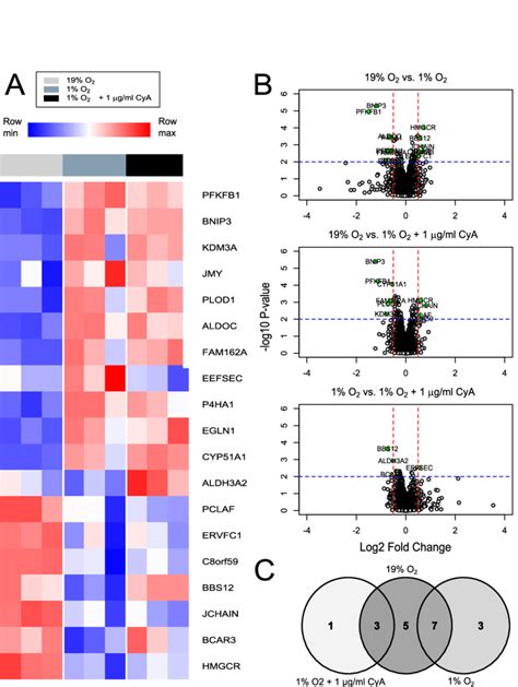 Differential Expression Analysis Of Proteomics Data A Heatmap Of