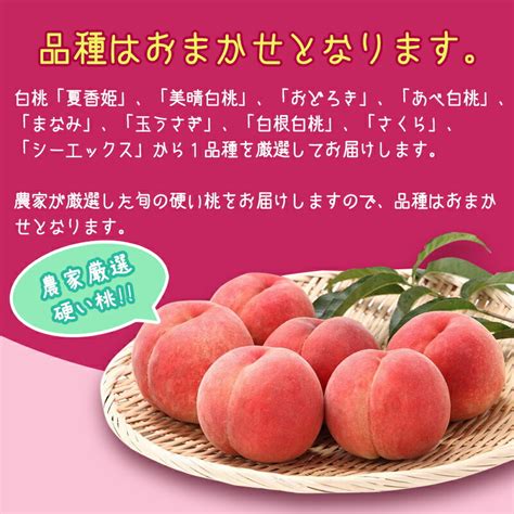 【楽天市場】【ふるさと納税】 白桃 《硬い桃》 5kg 品種おまかせ 13～20玉 秀品 山形県産 【2022年8月中旬頃～9月下旬頃発送