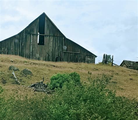 French Onion Soup | A German in Seattle
