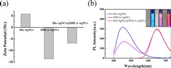 Dual Emission Fluorescent Nanoprobe Based On Ag Nanoclusters For