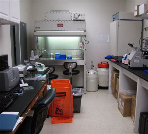 Plant Bioactives And Bioprocessing Research Lab Department Of