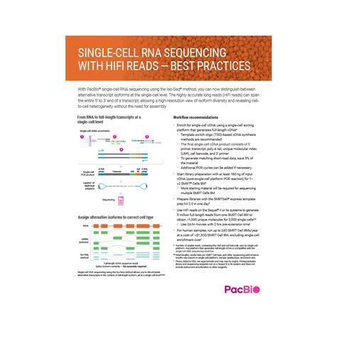 Single Cell Rna Sequencing Pacbio