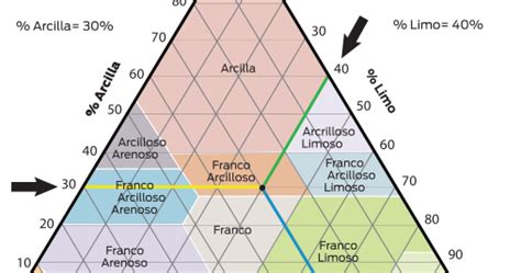 Consideraciones Del Suelo Para Establecer Cultivos Triangulo De