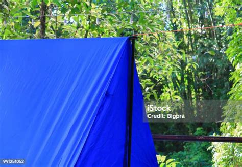 Tenda Biru Kamp Wisata Di Hutan Foto Stok - Unduh Gambar Sekarang - Alam, Berdiri - Posisi fisik ...