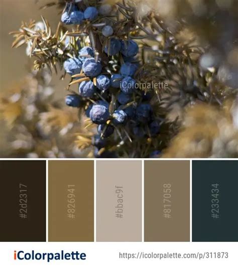 4 Juniper Berry Color Palette ideas in 2020 | iColorpalette