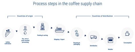 Supply Chain Management: Definition, How it Works & Example