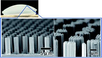 Micro Nano Hierarchical Pillar Array Structures Prepared On Curved