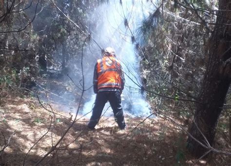 Áncash Incendio Forestal Dura Dos Días Y Consume 15 Hectáreas De