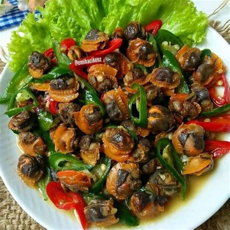 Resep Kerang Dara Ala Rumahan Yang Menggugah Selera Mudah Dibuat