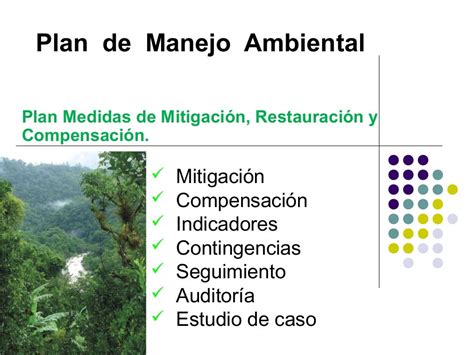 Plan De Manejo Ambiental Mitigacion