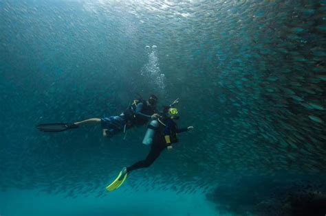 Pulau Redang Snorkeling