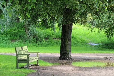 Park Bench Quiet Free Photo On Pixabay