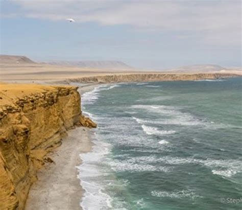 Ballestas Islands And Sand Boarding Nazca Lines Flight 3 Day Tour From